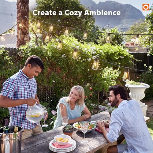102FT(96+6) Solar String Lights Outdoor with Remote, 48 LED Dimmable (102 Foot)