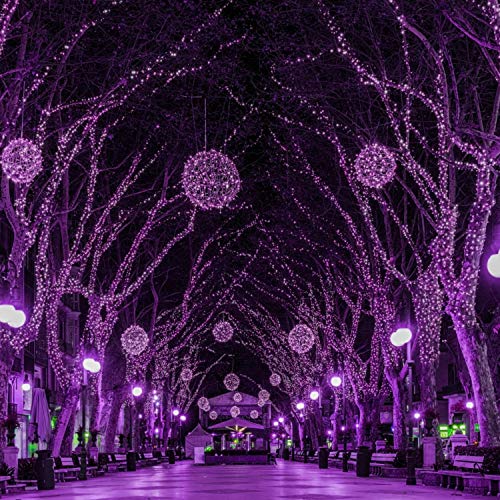 Halloween String Lights Outdoor (76 Foot)