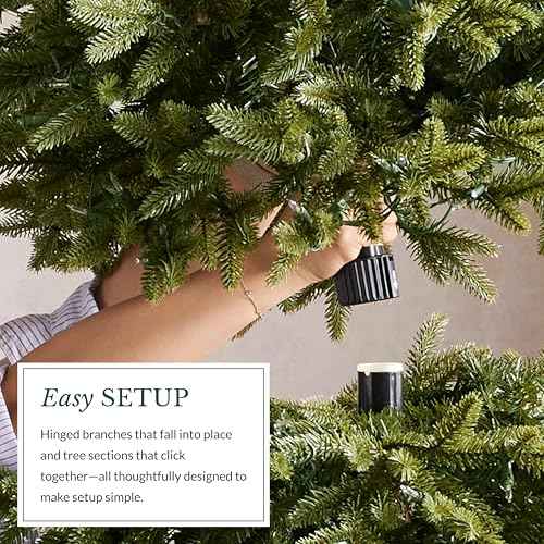 Stratford Spruce