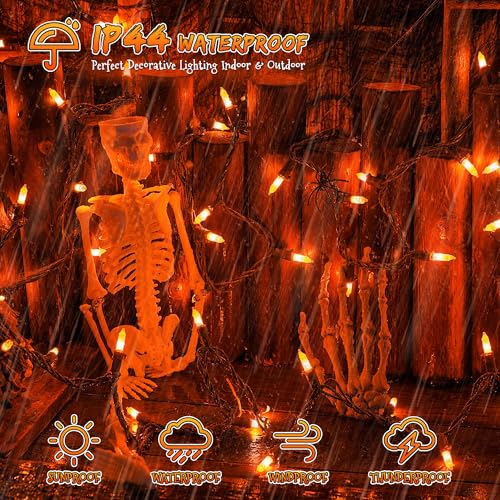 Orange Halloween Lights (50 Count)