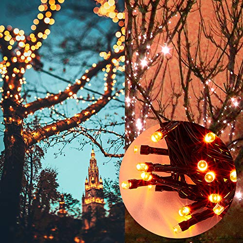 66FT 200 LED Halloween String Lights (66 Foot)