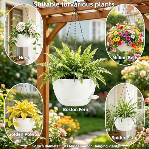 12" Self Watering Hanging Planters with Chains (2 Count)