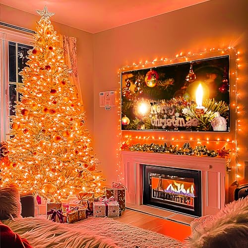 163FT 8 Modes 500 LED Orange Halloween Lights Outdoor with Remote (163 Foot)