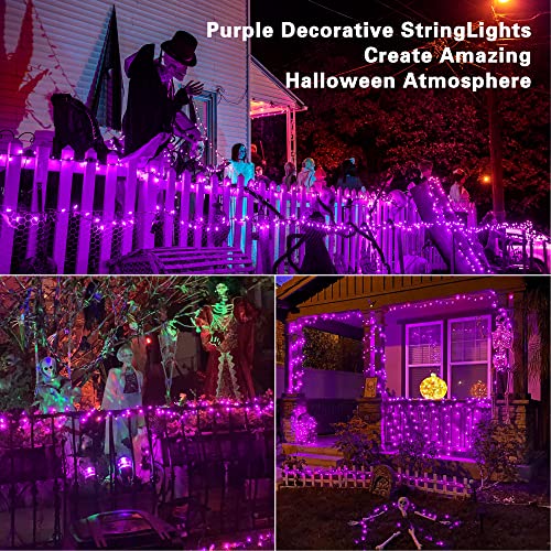 Purple Halloween Lights Connectable (33 Foot)