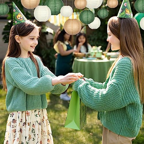 Paper Lanterns Party Decorations (15 Count)