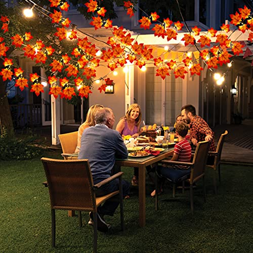 Timer & Thicker Leaves (13 Foot)