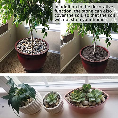Pebbles for Plants 3 lb Natural Garden Decorative Stone Outdoor Aquariums Gravel 1