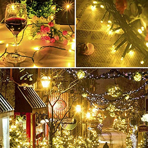 66ft Christmas Decorative Mini Lights (66 Foot)