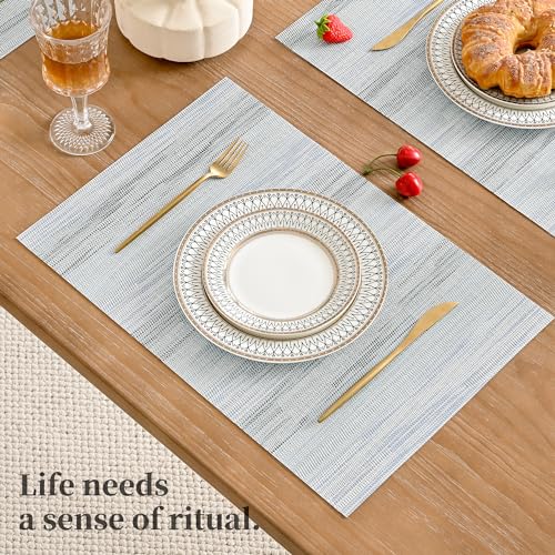 LightSteel Blue Placemats Set of 12 (12 Count)