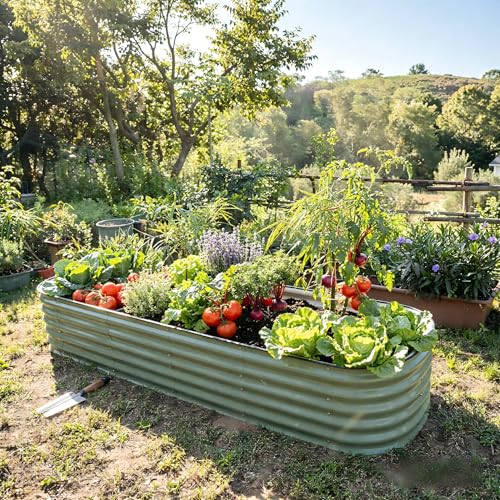 8x2 Galvanized Raised Garden Bed