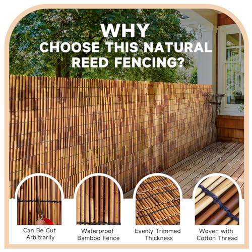 Reed Fencing Rolls Fencing 4ft High Roll Reed Screen for Balcony Patio Garden Backyard 4FT X 16.4FT Privacy Fence（Brown） (65.6 Sq Ft)