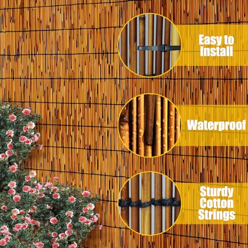 2 Pack Natural Reed Fence (131.2 Sq Ft)