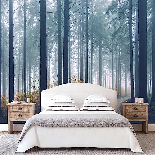 Dark Forest Wall Mural Woodland Landscape Wallpaper for Bathroom (51.53 Sq Ft)
