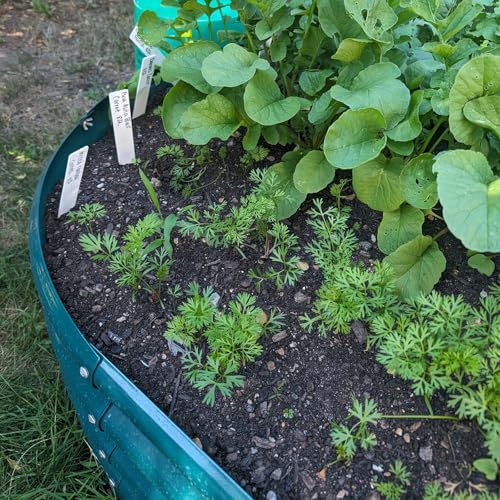 2 Pack 8x4x1FT Galvanized Raised Garden Bed Kit Oval Metal Ground Planter Box Outdoor Bottomless Planter Raised Beds for Vegetables Flowers Herbs Fruits
