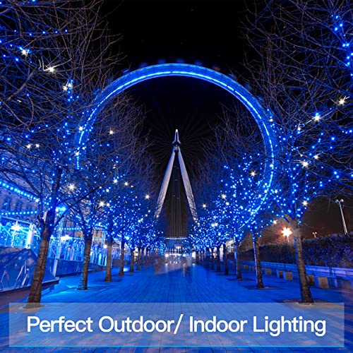 33ft 100 LED Outdoor String Lights