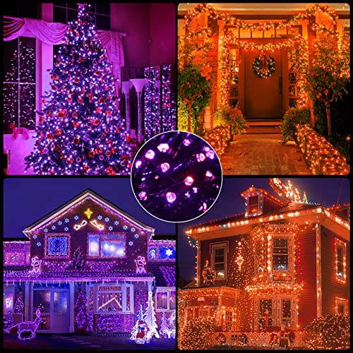 Orange Purple Halloween String Lights (105 Foot)