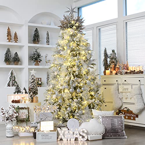 25 Pack Assorted Clear Christmas Ball Ornaments (25 Count)