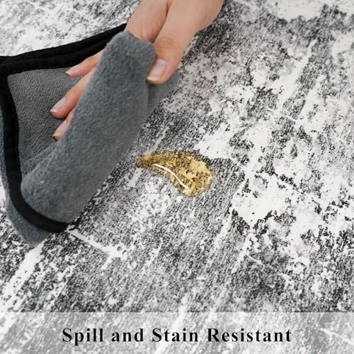 Washable 2x3 Entryway Area Rugs (6 Sq Ft)