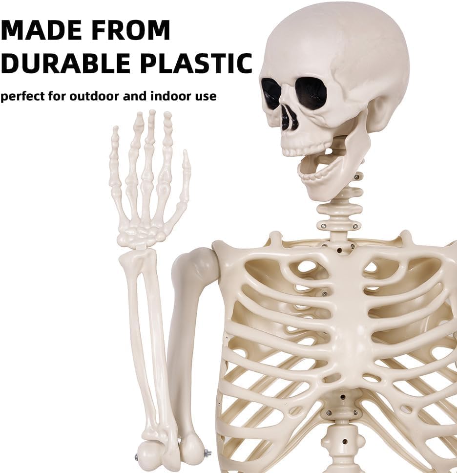 2 Pack 36" Halloween Skeleton