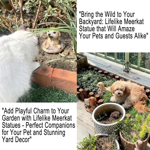 Meerkat Statue