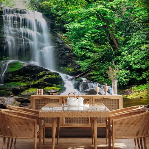 Wall Mural Wallpaper (147 Sq Ft)