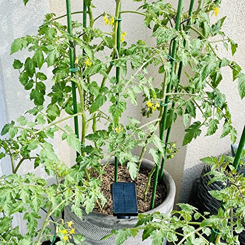 Garden Plant Stakes (25 Count)