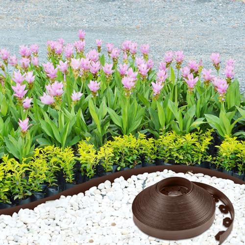2.5 Inch x 200 FT Landscape Edging (2 Count (feet))