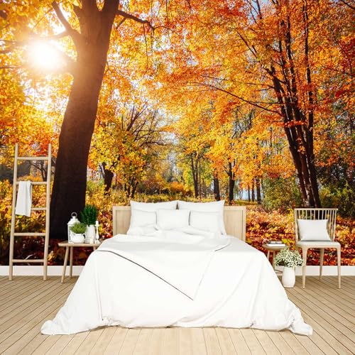 Golden Autumn Sunlit Forest wall Mural Peel and Stick Wallpaper for Bedroom Living Room
