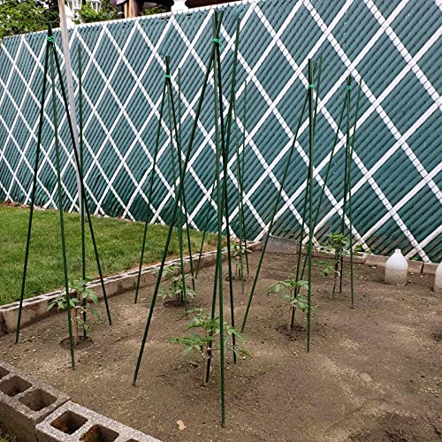 Garden Plant Stakes (25 Count)