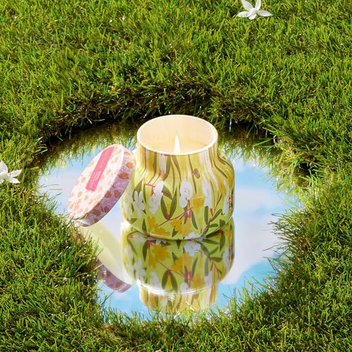 Scented Candles
