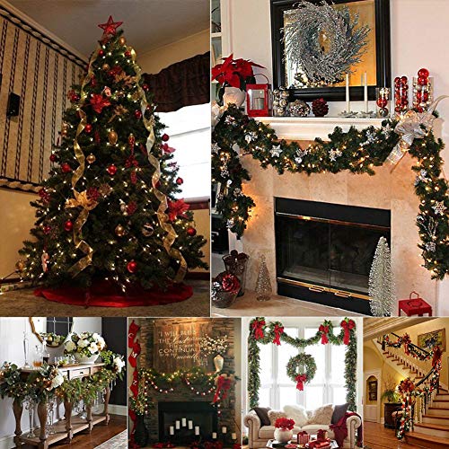 Christmas Lights (26 Foot)