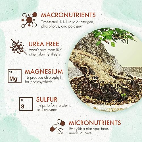 Bonsai Fertilizer (5 Ounce)