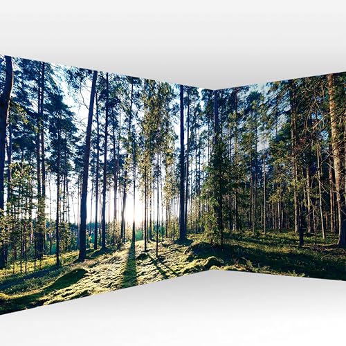 Peel and Stick Wall Mural (11 Count)