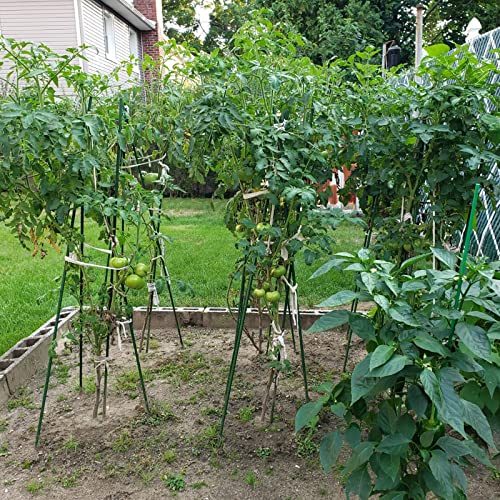 Garden Plant Stakes (25 Count)