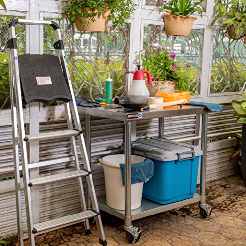 30x30 NSF Stainless Steel Cart (848 Ounce)