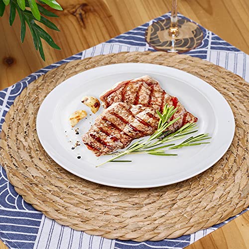 Defined Deco Woven Placemats Set of 10 (10 Count)