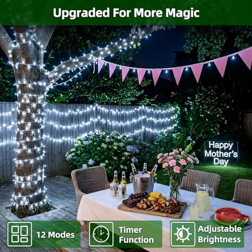 1500 LED 470FT Christmas Lights (470 Foot)