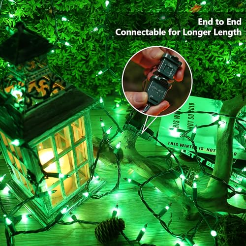 Christmas Lights