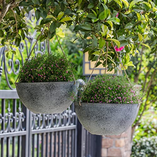 Large Hanging Planters for Outdoor Plants (2 Count)