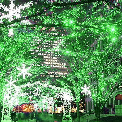 200 LED 66FT Christmas String Lights (66 Feet)