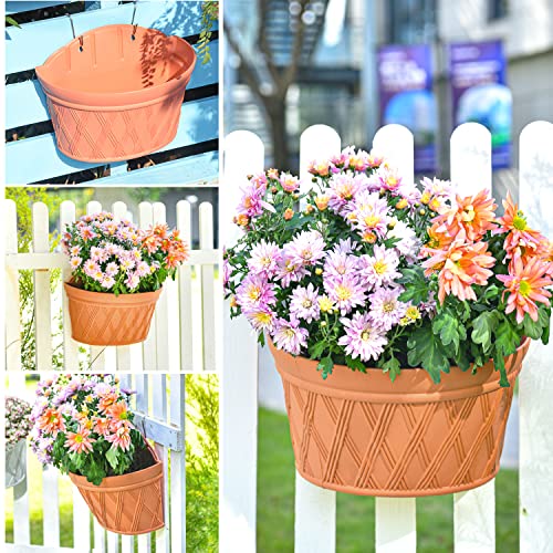 Wall Hanging Planters (3 Count)
