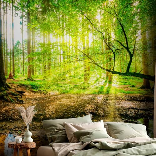 Peel and Stick Wall Mural Peel and Stick Forest 212x98 Inch (11 Count)