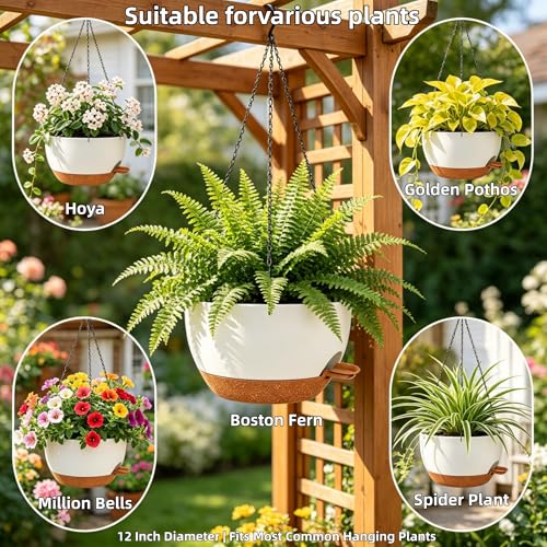 12" Self Watering Hanging Planters with Chains (2 Count)
