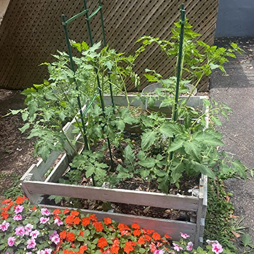 Garden Stakes (25 Count)