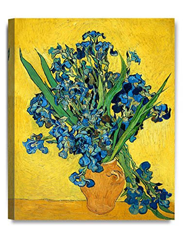 Irises Vase Flower