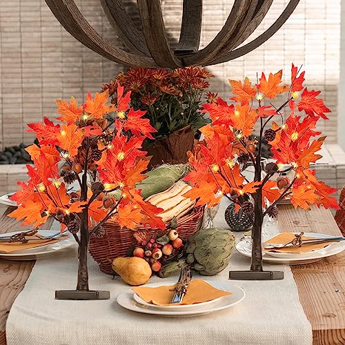 Fall Decorations for Home
