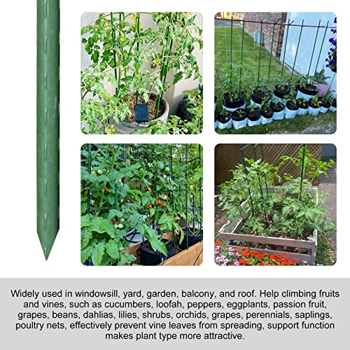 Garden Stakes (25 Count)