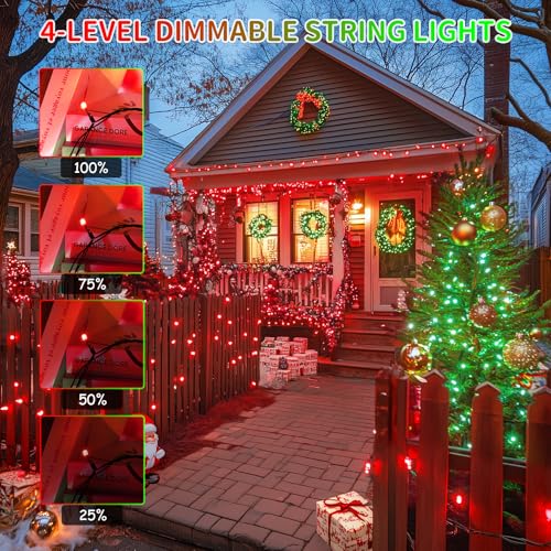 66ft 200 LED Color Changing Christmas Lights (66 Foot)