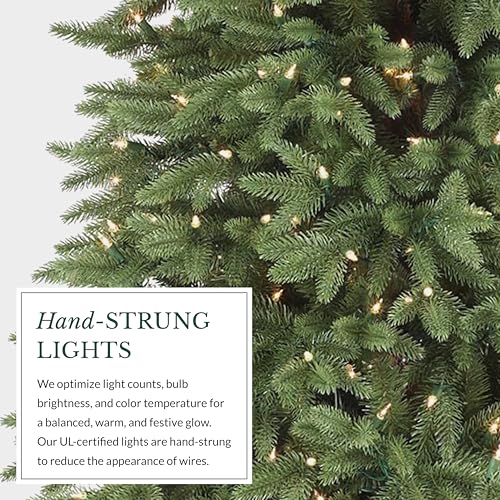 Stratford Spruce