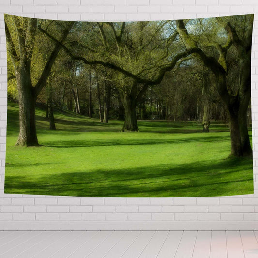 Landscape Tapestry For Bedroom Landscape Of Kings Park Green And Nature Scene Tapestries Wall Hanging For Living Room Dorm Office 90×60 In - HavenBliss Decor